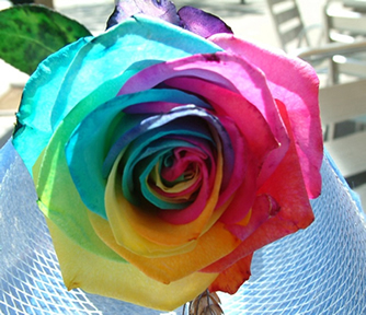 sant jordi 23 abril
