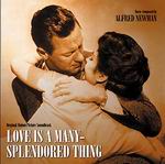 love is a many splendored thing