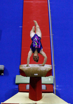 ariella kaslin vault