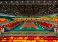 arena del futuro sede balonmano