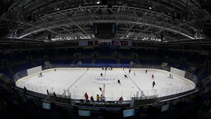 shayba arena